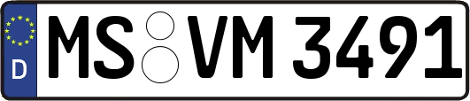 MS-VM3491
