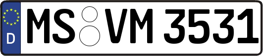 MS-VM3531