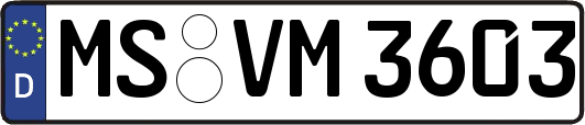 MS-VM3603