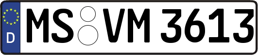 MS-VM3613