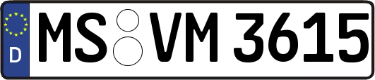MS-VM3615