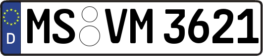 MS-VM3621