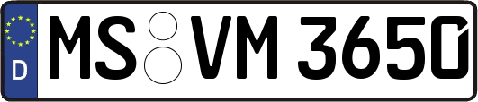 MS-VM3650