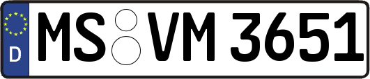 MS-VM3651