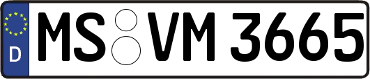 MS-VM3665