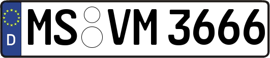 MS-VM3666