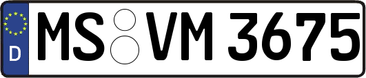 MS-VM3675