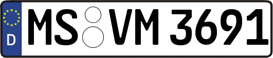 MS-VM3691