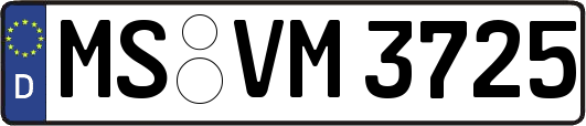 MS-VM3725