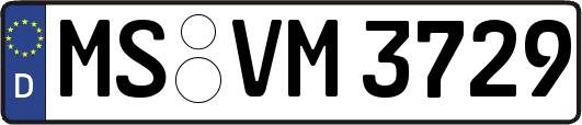 MS-VM3729