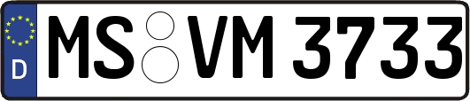 MS-VM3733