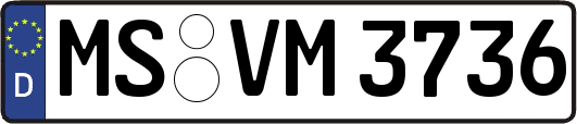 MS-VM3736