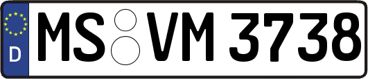 MS-VM3738