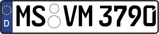 MS-VM3790