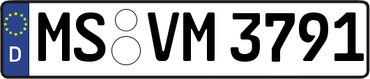 MS-VM3791