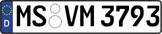 MS-VM3793