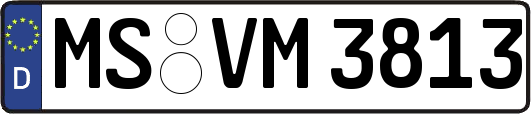 MS-VM3813