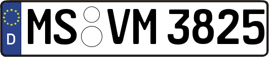 MS-VM3825