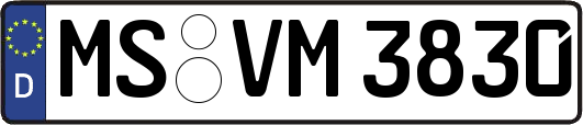 MS-VM3830