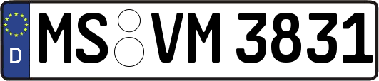 MS-VM3831