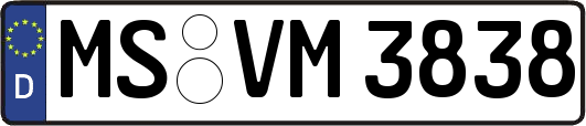 MS-VM3838