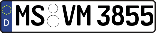 MS-VM3855