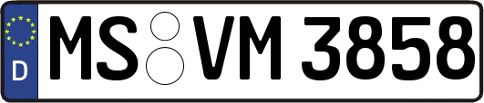 MS-VM3858