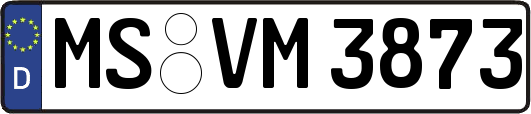 MS-VM3873