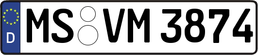 MS-VM3874
