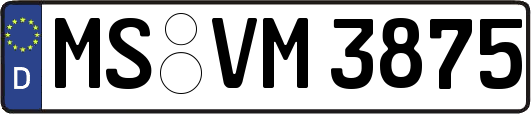 MS-VM3875