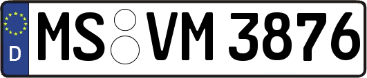 MS-VM3876