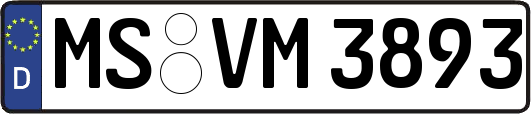 MS-VM3893