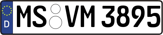 MS-VM3895