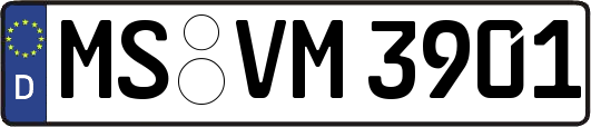 MS-VM3901