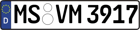 MS-VM3917