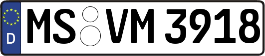 MS-VM3918