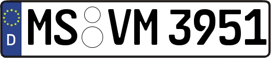 MS-VM3951