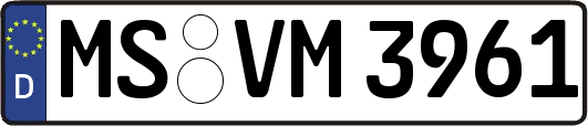 MS-VM3961