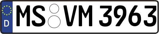 MS-VM3963