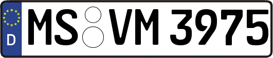 MS-VM3975