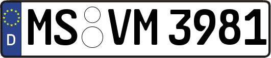 MS-VM3981