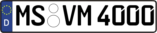 MS-VM4000