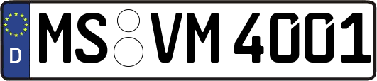 MS-VM4001