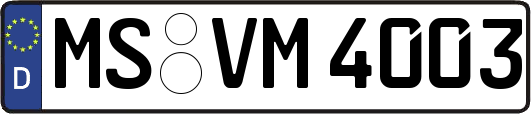 MS-VM4003