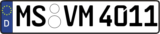MS-VM4011