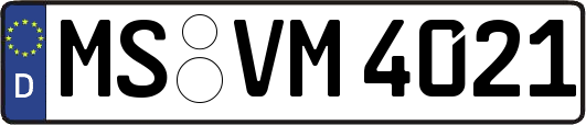 MS-VM4021