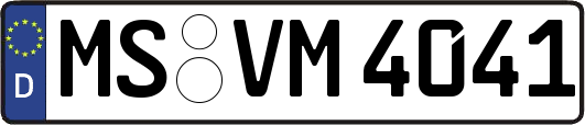 MS-VM4041