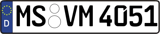 MS-VM4051