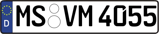 MS-VM4055