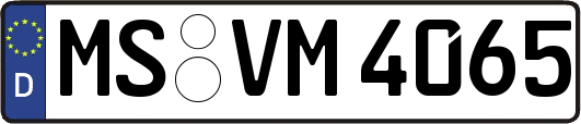 MS-VM4065